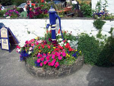 Ireland-Western Ireland-Discover Ireland South Walk